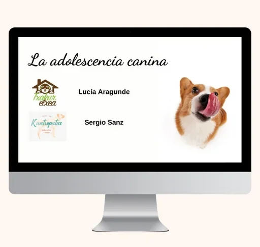 Adolescencia Canina