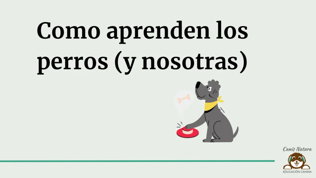 Aprendizaje