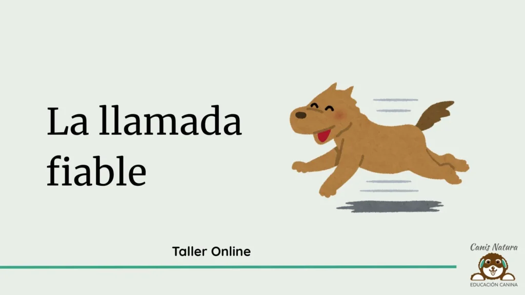 Taller_-la-llamada