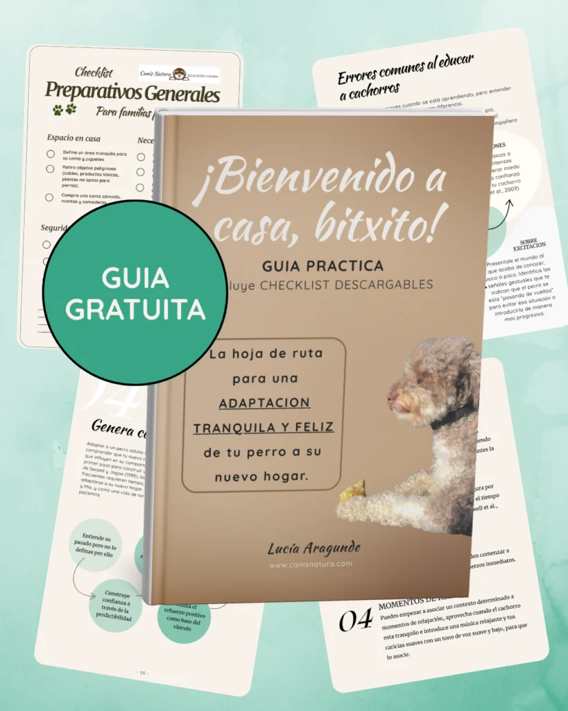 bienvenido-a-casa