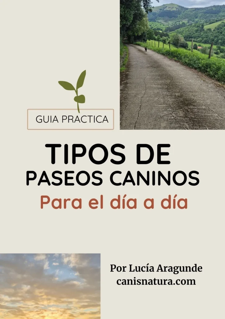 Guía-Tipos-de-paseos